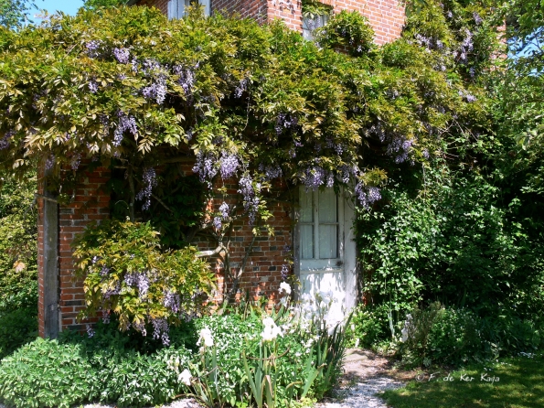 Bois des Moutiers (293) Mai 2012